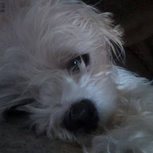 Meet your Posher, Deborah